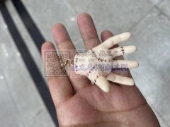 找寻能做图上手掌模型的工厂，这款手掌模型
