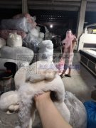 大型定位激光切割下料，承接布料、毛料、无