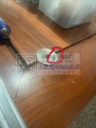 专业铝压铸，模具制作
