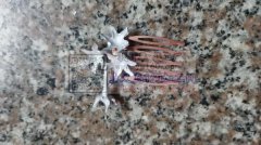 本厂专业承接各类饰品压铸，翻砂成品，半成