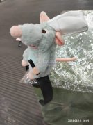 需要采购头箍这类产品成品，寻找生产成品的