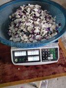 义乌苏溪加工厂，承接各类，挂圈，包装，胶