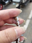 需求图上这个手工爪，谁家有这种手工爪&n