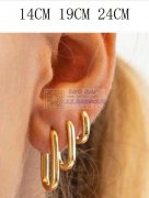 需要求购图上这个耳环，金色 ，那个老板有