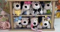 寻求义乌工厂做挂式毛毛狗，大量需要现货，