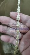 超声波花边压花加工拷边加工