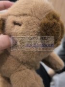 眼睛嘴巴需要印刷，第二张为效果图