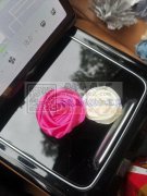 承接各种手工活布艺花，可以包工包料
