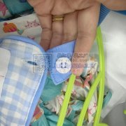 寻找义乌周边的锁眼钉扣加工厂