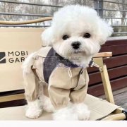 有没有狗狗冲锋衣库存或者现货的，布料是防