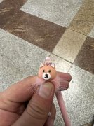 需求图上产品工厂，寻找工厂，有现货的，有