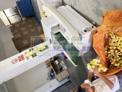 本厂专做宠物用品充棉包装，玩具充棉包装，