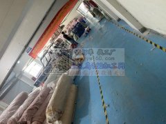 毛绒玩具生产、流水线生产每月产量10万只