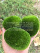 植绒加工厂承接饰品，工艺品头饰配件等等植