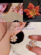 寻求胸花耳钉等精美饰品<br />
有