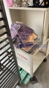 转让迈斯特1台2年8头70间距9层新的机