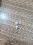 如图所示产品需要做，数量8000个，寻找