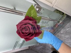 仿真花有货的老板联系  微信同