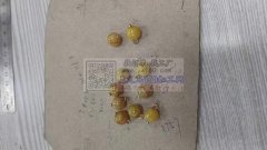 本厂承接 串珠 挂圈