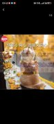 【纯加工】好几万宠物胸背带 牵引绳外发