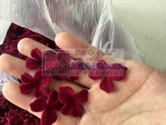 专业植绒  洒金粉&