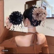 大量求购图上这类花类的配件，寻找此类花类