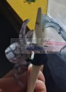 找图示单边夹子底胚