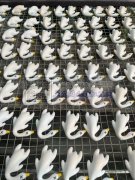 烤鸭大量现货批发爆款来袭