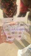 大型手工加工厂诚寻手工活，穿珠子挂圈包装