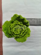 手工钩针编织活外发【发外地】寻找外地源头加工厂