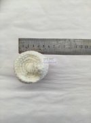 手工钩针编织活外发【发外地】寻找外地源头加工厂