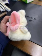 本厂现有毛绒玩具充棉平车外发加工，寻找毛绒配件充