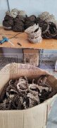 专业承接各种手工加工，有自己的场地，自己