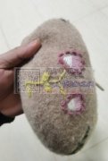 义乌青口有帽子绣花外发，寻找专业绣花加工厂，