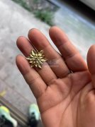 压铸外发，如图所示这三款产品需要做，