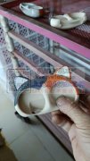 承接五金，饰品，塑料玩具套模等喷漆加工