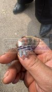 承接各类铁丝饰品碰焊加工