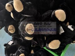 承接毛绒玩具、工厂在安徽明光、可包工包料