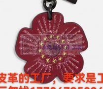 寻找专业做如图所示这个皮革产品的工厂