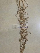 采购如图产品，陶瓷的