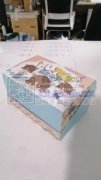 纸卡 标签 吊牌 包装盒 塑料盒 手提袋 定制