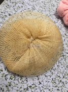 需求图上这种洗碗洗锅的产品，要一样的