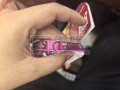 宠物小项圈加工