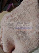 小兔毛700克5件布料，400米左右