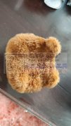 20万小包包外发 【寻上饶弋阳的箱包加工厂】