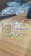 我们这里专业镶嵌各种贝壳样品，有专业的精