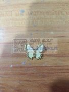 我们这里专业镶嵌各种贝壳样品，有专业的精