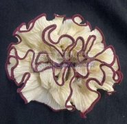 发圈外发，能加工如图发圈的联系我