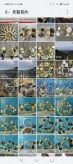 承接各类铁艺钟表挂壁工艺品喷漆加工，质量