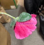 有没有做仿真花的生产厂家